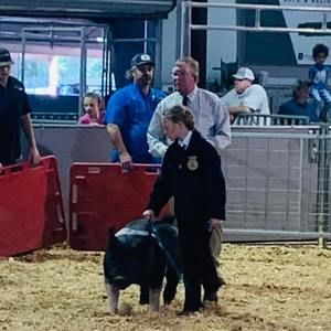 Meet your Posher, April